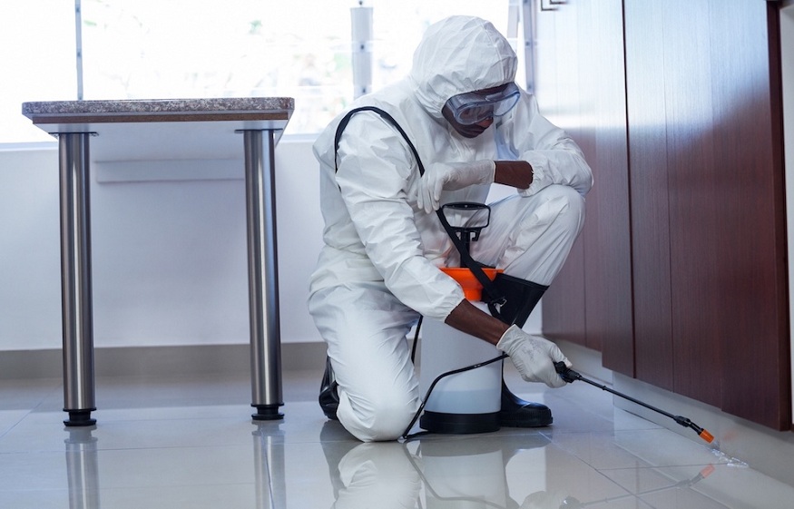 How hiring the pest management service firm will save an enormous quantity of money and time?